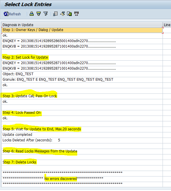 How to run and understand SAP transaction SM12 SAP application