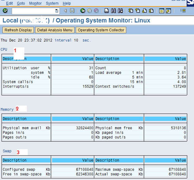 how to run SAP ST06; how to understand ST06 screens; SAP operating